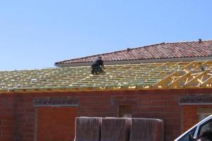 Travaux de maçonnerie Muret 31600 toiture
